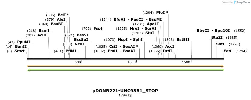 312863_map