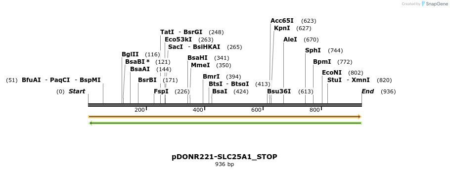312865_map