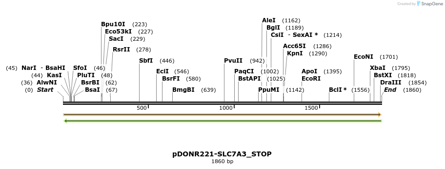 312869_map