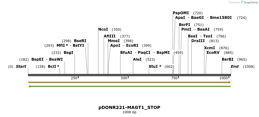312871_map