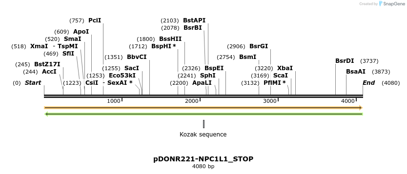312873_map