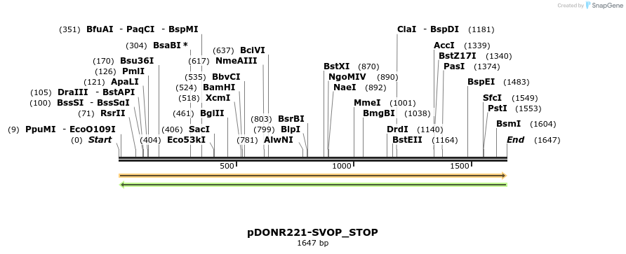 312877_map