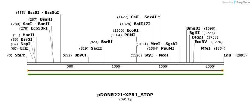 312879_map