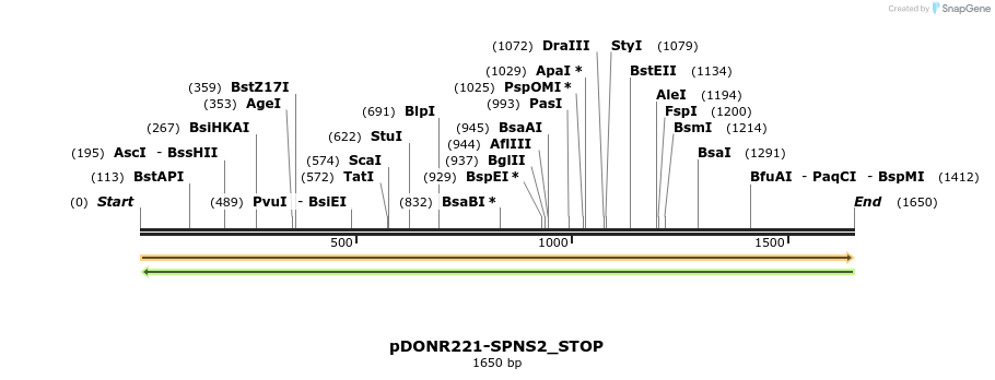 312881_map