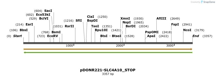 312883_map