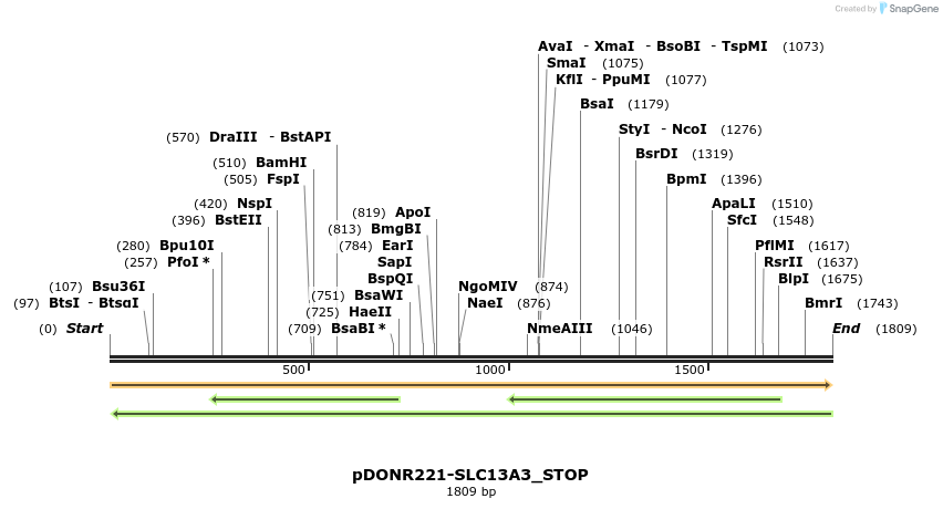 312885_map