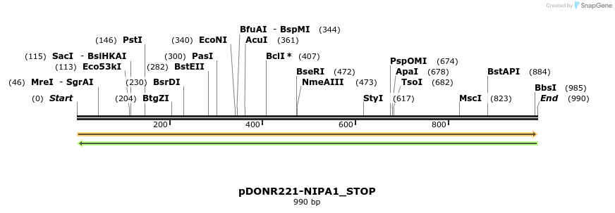 312887_map