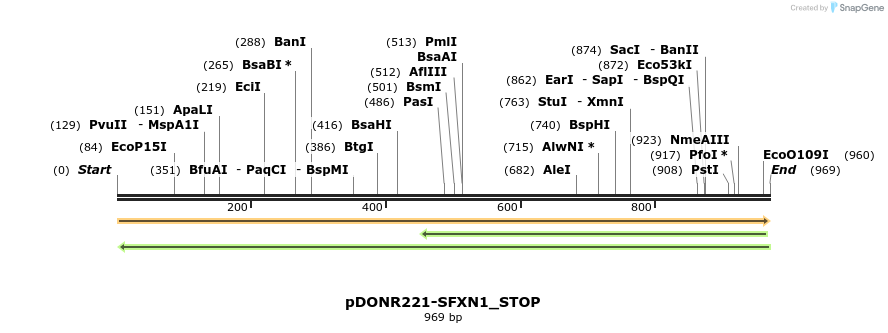 312889_map