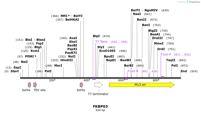 31289_map