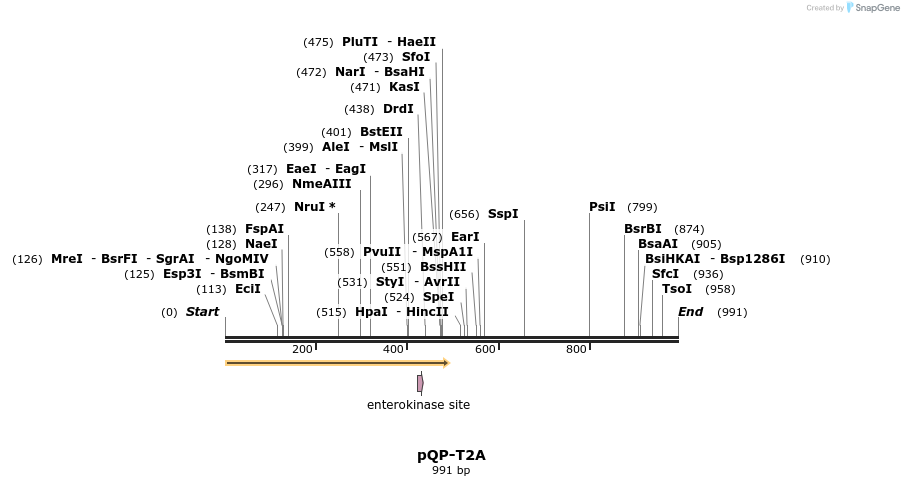 312914_map