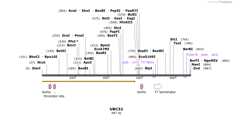31293_map