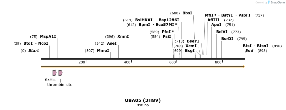 31294_map