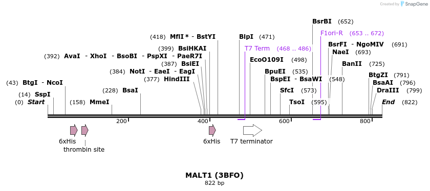 31296_map