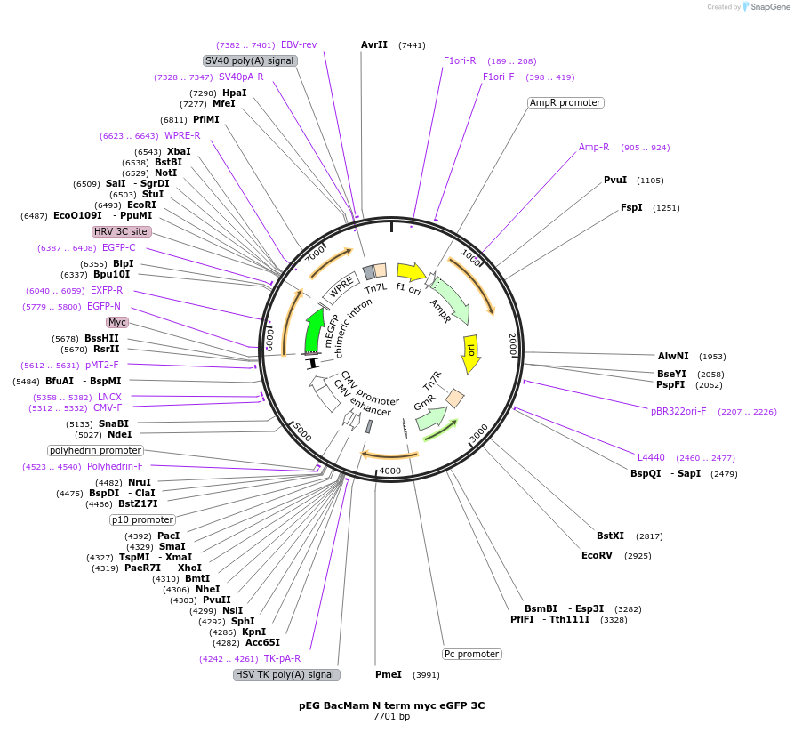 312960_map