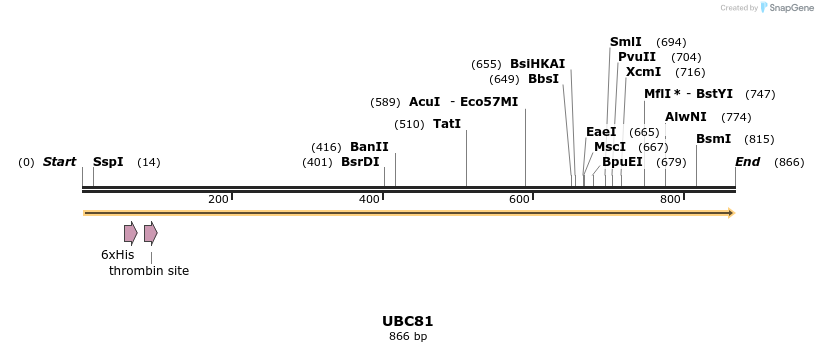31298_map
