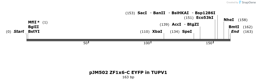 312980_map