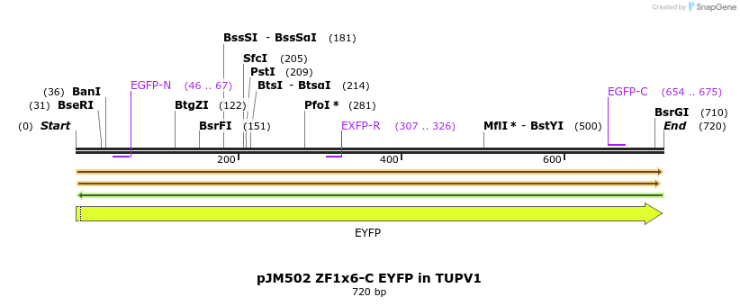 312981_map