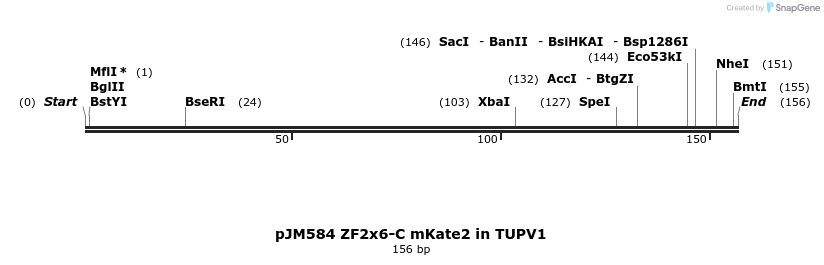 312982_map