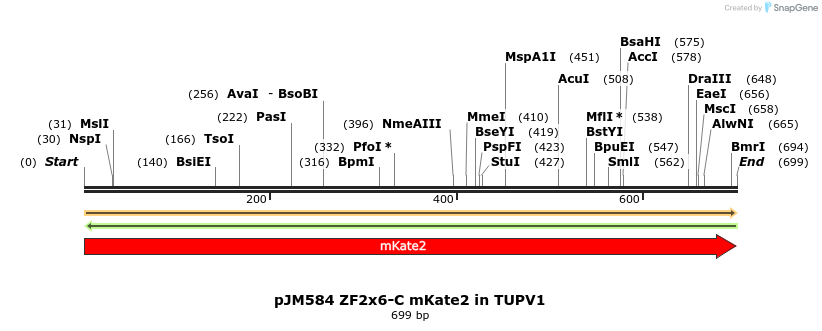 312983_map
