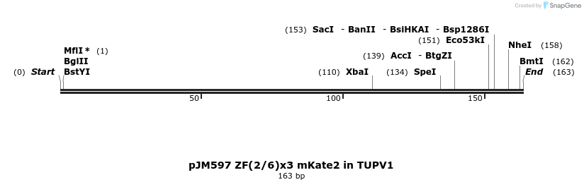 312988_map