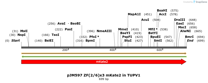 312989_map