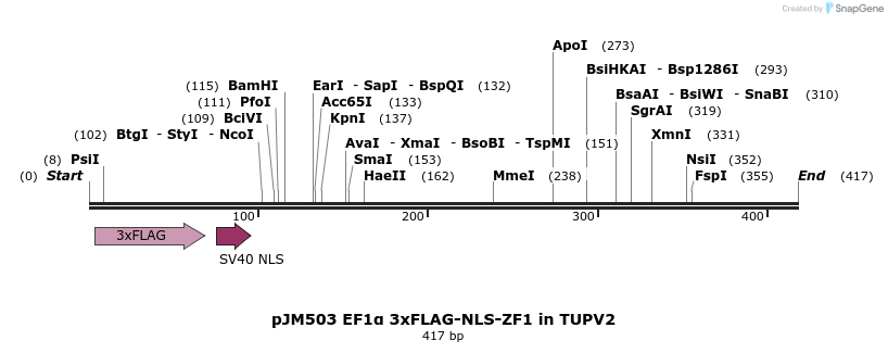 312992_map