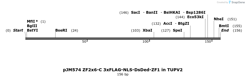 313000_map
