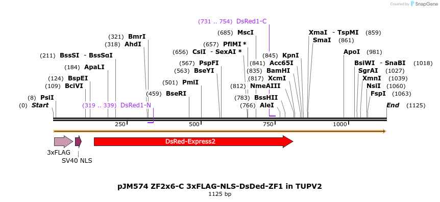 313001_map