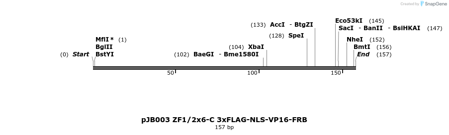 313007_map