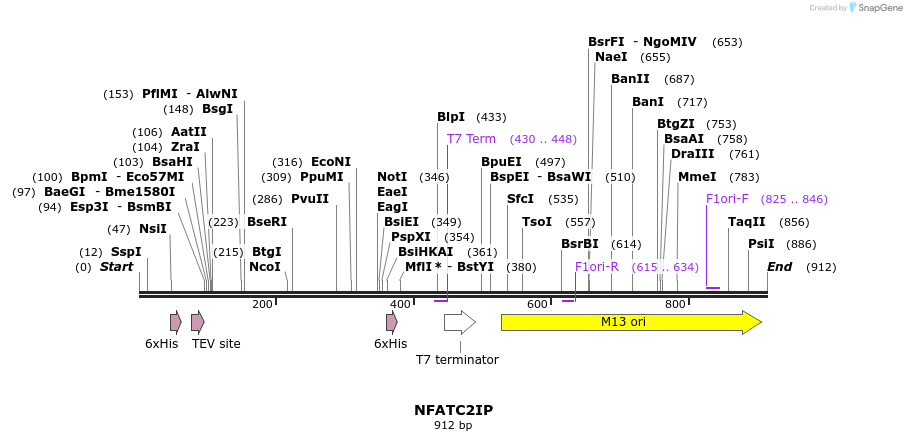 31301_map
