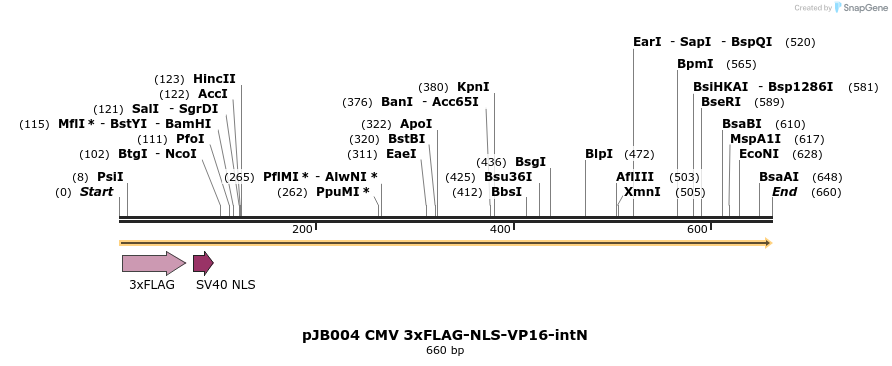 313011_map