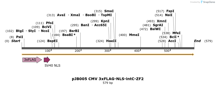 313012_map