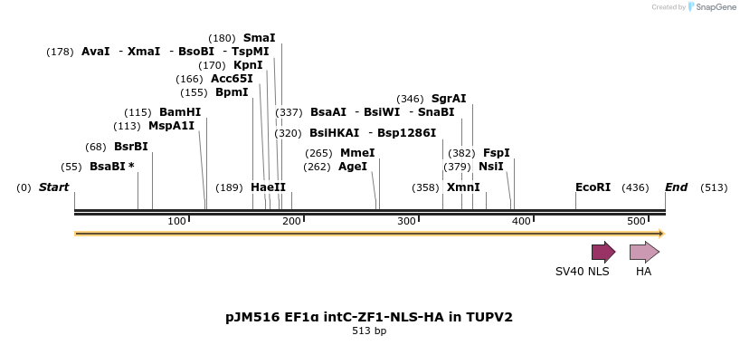 313013_map