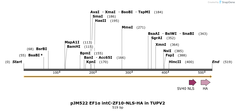313014_map