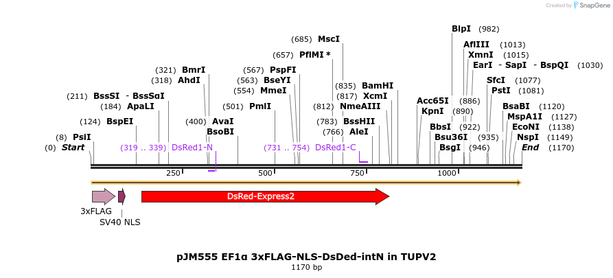 313019_map