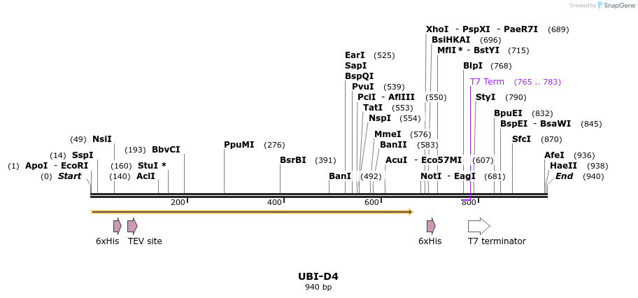 31302_map
