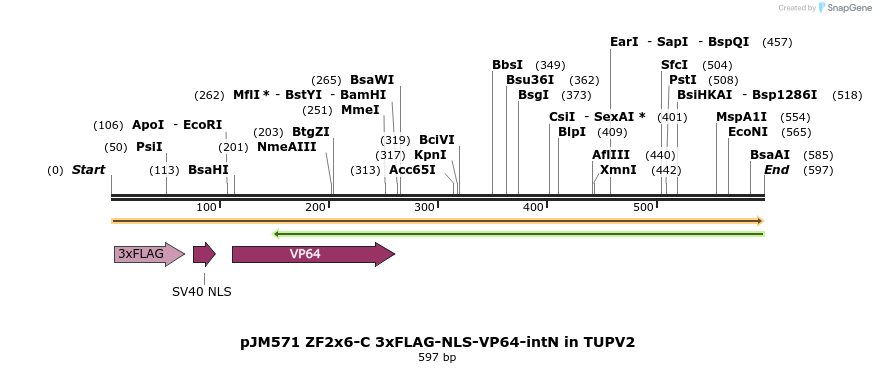313021_map