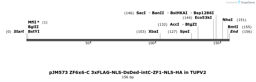 313024_map