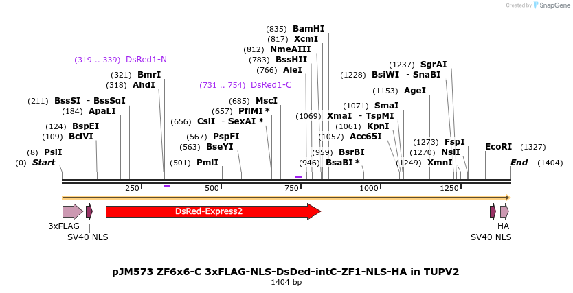 313025_map