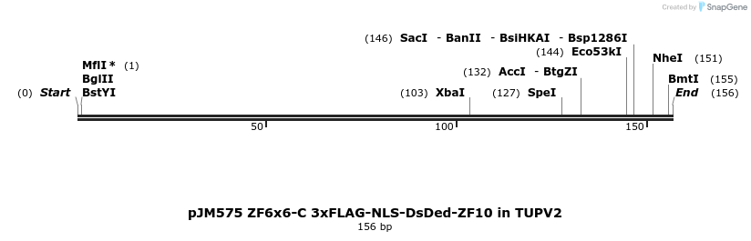 313026_map