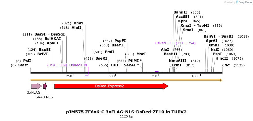 313027_map