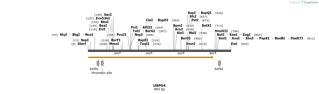 31303_map
