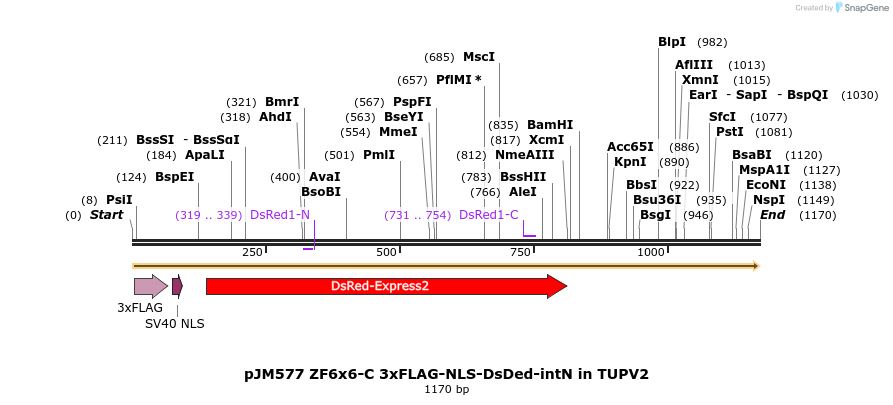 313031_map