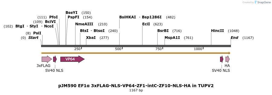 313034_map