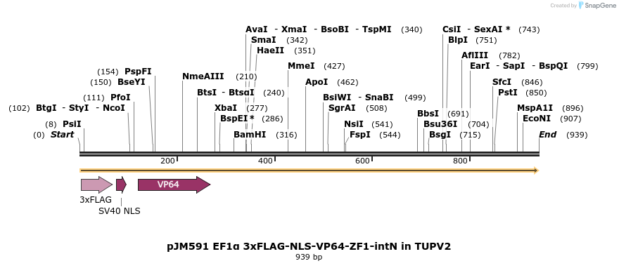 313035_map