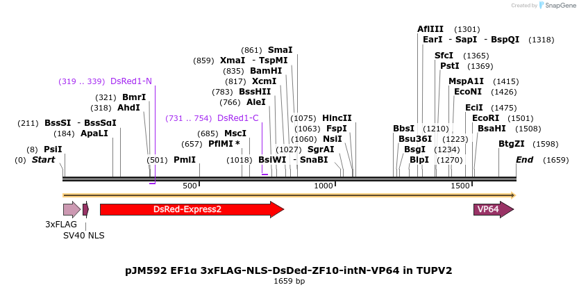 313036_map