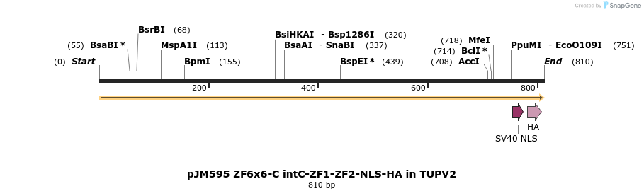313038_map