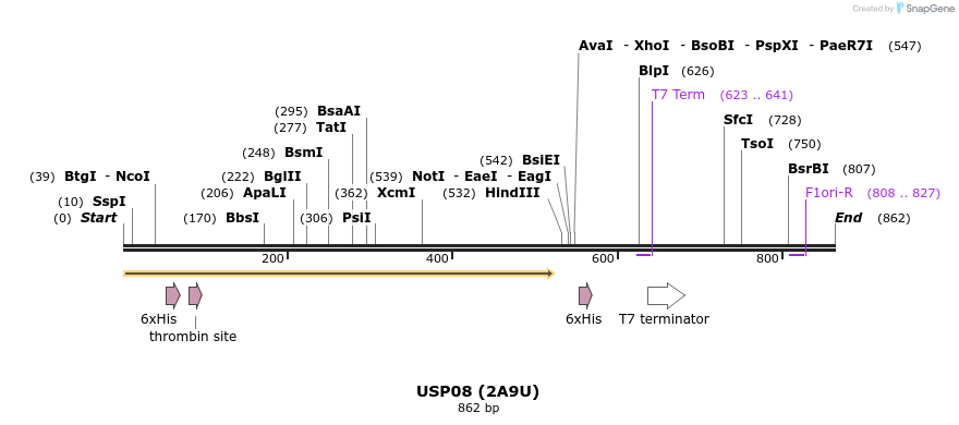 31304_map