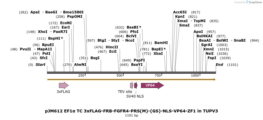 313040_map
