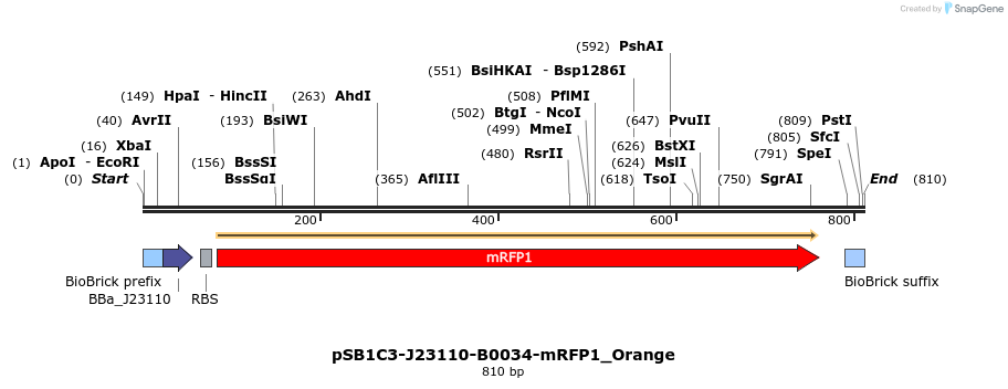 313055_map